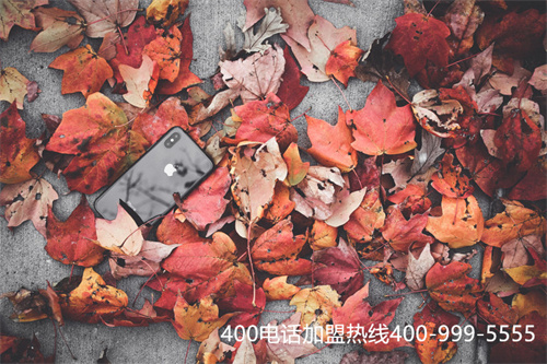(400開(kāi)頭的號(hào)碼都是可靠電話嗎)(400開(kāi)頭的號(hào)碼是干嘛的)