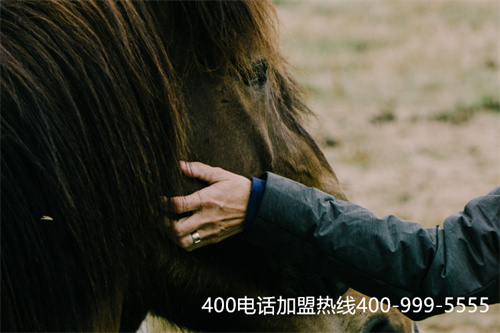 (重慶400電話選號流程)(400電話選號平臺網址哪個比較靠譜)