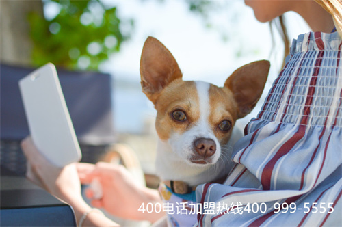 (400電話號碼收費嗎)(400電話是收費的還是免費的?)