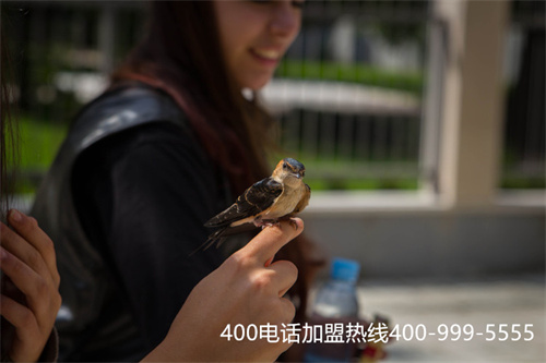 (400電話哪家)(400電話開(kāi)通多少錢？)